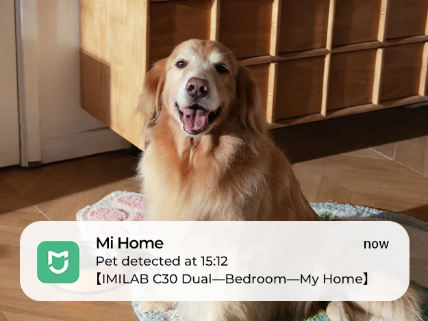 Imilab C30 Dual 3K+3K okos WiFi biztonsági kamera + hálózati adapter