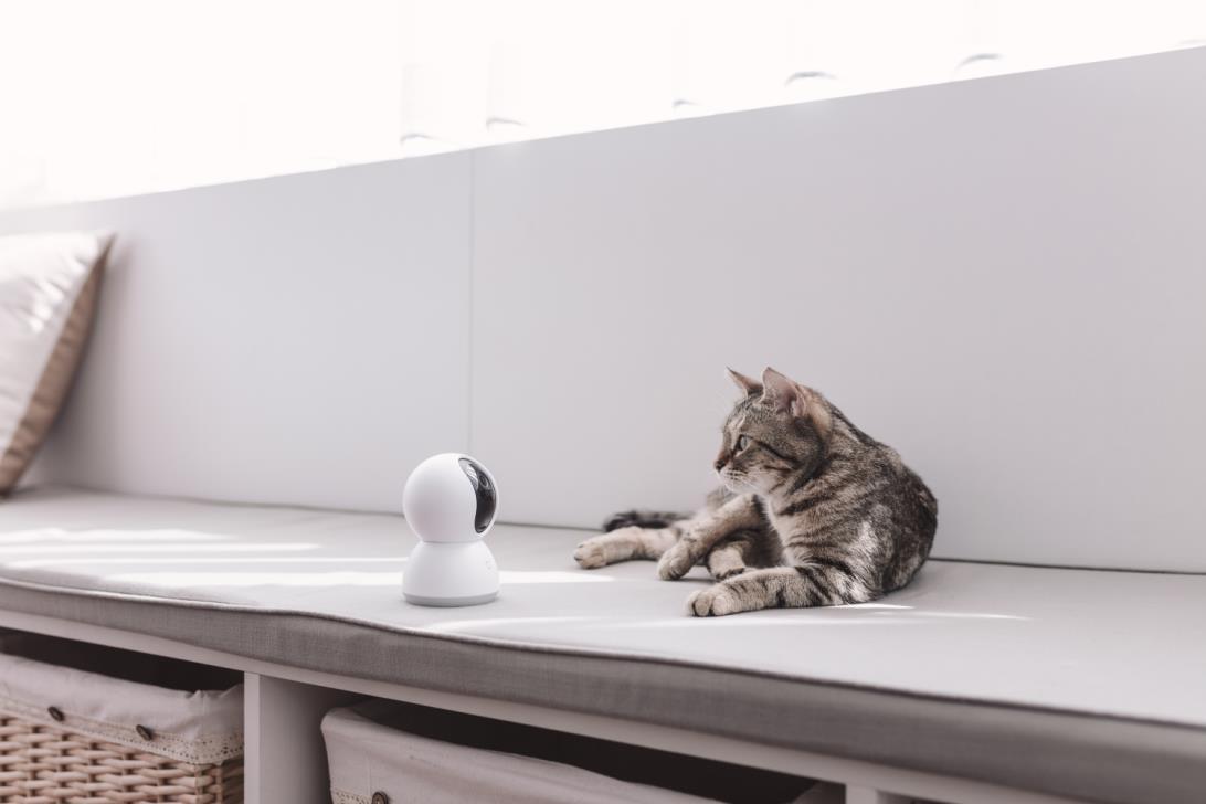 xiaomi-mi-home-security-camera-360-1080p-t29
