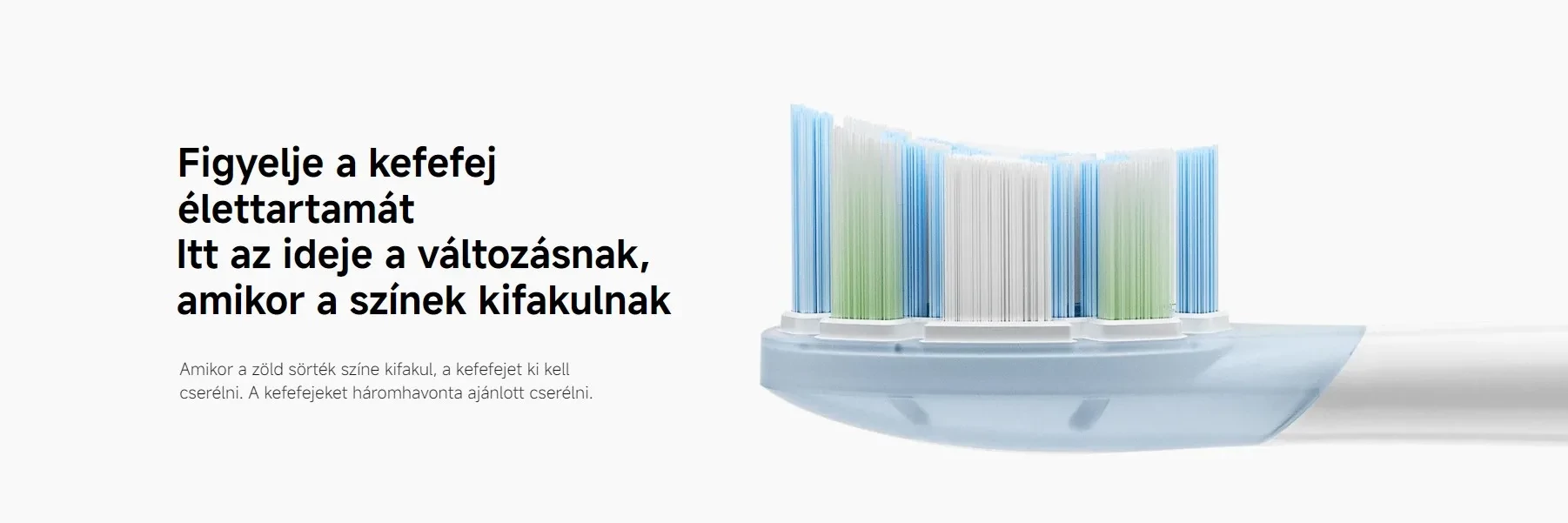 Xiaomi Oscillation Electric Toothbrush Replacement Heads (Clean) fogkefe pótfejek